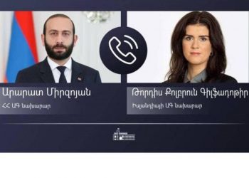 Глава МИД Армении представил председателю Комитета министров Совета Европы ситуацию в Нагорном Карабахе