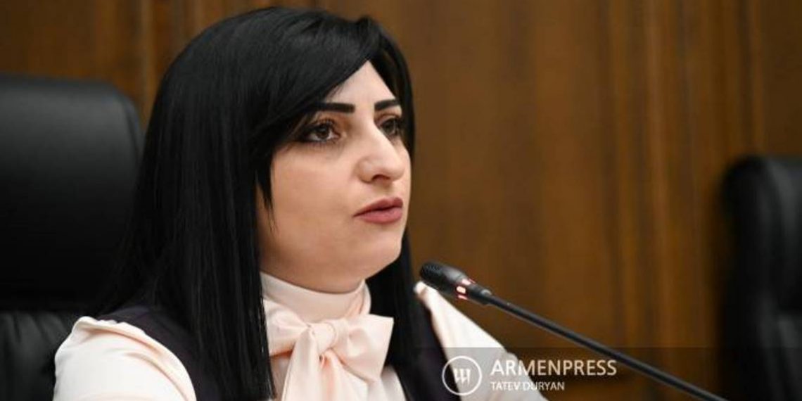 Глава парламентской комиссии направила письма омбудсмену, главе Комитета Кнессета по поводу избиения армян в Израиле