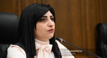 Глава парламентской комиссии направила письма омбудсмену, главе Комитета Кнессета по поводу избиения армян в Израиле