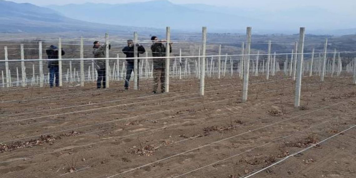 Арцахский предприниматель начал в Арцахе новое дело