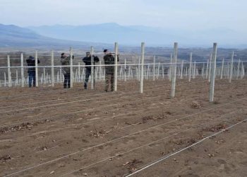 Арцахский предприниматель начал в Арцахе новое дело