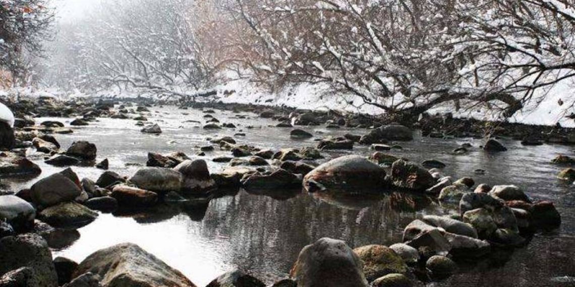 Метеопрогноз на 5-10 февраля — снег, туман, метель