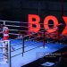 В Ереване стартовал молодежный чемпионат Армении по боксу