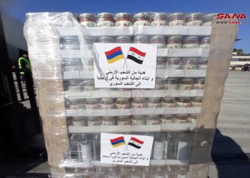 Армения направила в Сирию новый самолет с гуманитарным грузом