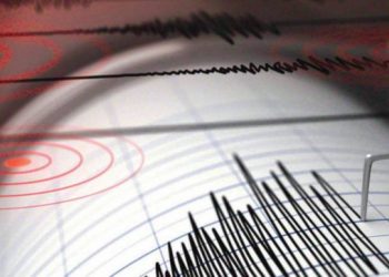 В Иране произошло землетрясение магнитудой 5,1