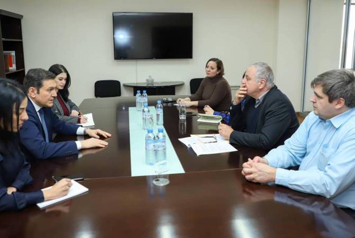 Замглавы МИД Армении и соучредитель Группы дружбы с Арцахом в Европарламенте обсудили вопросы региональной безопасности 