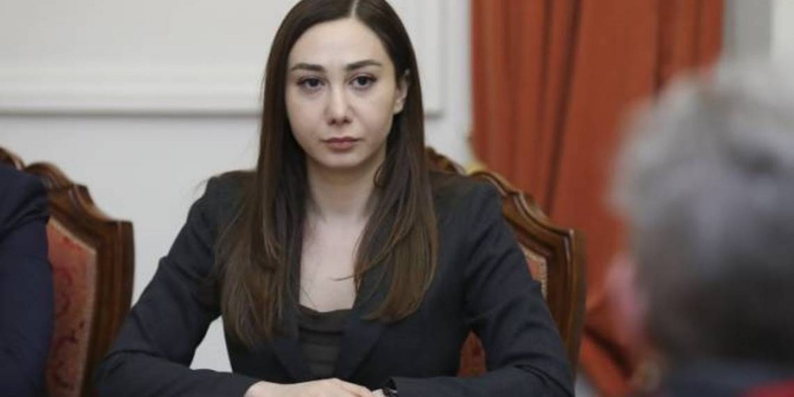 Делегат Армении подчеркнула важность усилий ЕС по объективной оценке ситуации вокруг Нагорного Карабаха