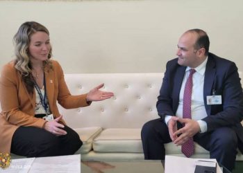 Армения и Канада обсудили направления сотрудничества в сфере труда и социальной защиты