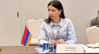 Жаль, что в ОДКБ еще не дали четкой политической оценки оккупации Азербайджаном территории Армении. Акопян