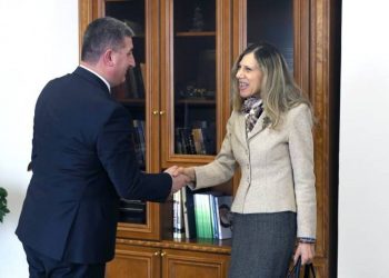 Египетская компания заинтересована в перспективах инвестирования в энергетический сектор Армении