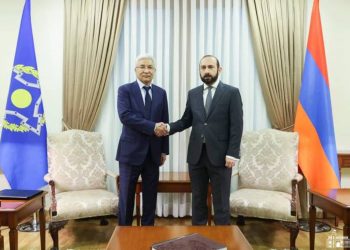 Армения ожидает от союзных стран активных действий по исключению применения силы Азербайджаном: глава МИД