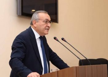 На чаше весов с одной стороны — ценности демократии, с другой — нефть и газ: мир должен сделать выбор: спикер НС Арцаха