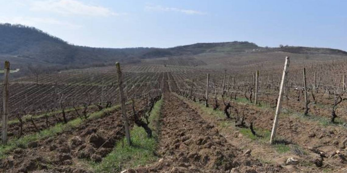 Азербайджан открыл огонь по гражданским лицам, выполнявшим сельскохозяйственные работы