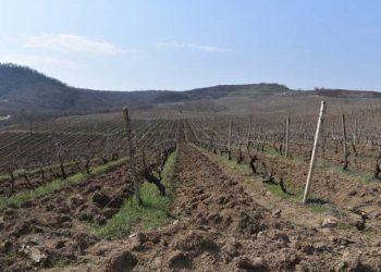 Азербайджан открыл огонь по гражданским лицам, выполнявшим сельскохозяйственные работы