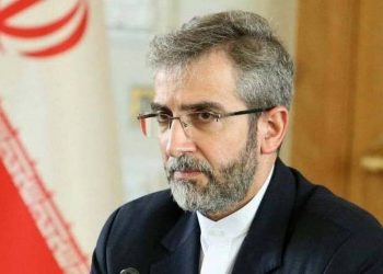 Иран применит весь свой потенциал для решения проблем в регионе путем диалога