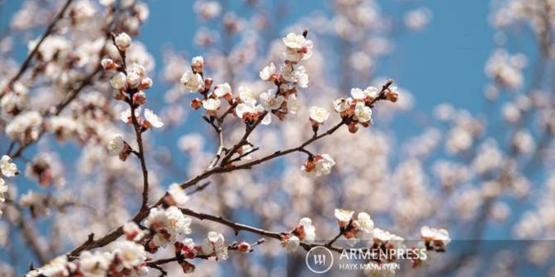 В ближайшие дни температура воздуха в Армении постепенно будет повышаться