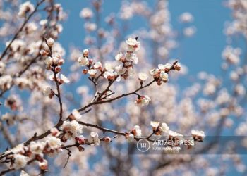 В ближайшие дни температура воздуха в Армении постепенно будет повышаться