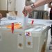В выборах в общине Ани участвуют 4 политические силы, будет избран 21 член Совета старейшин