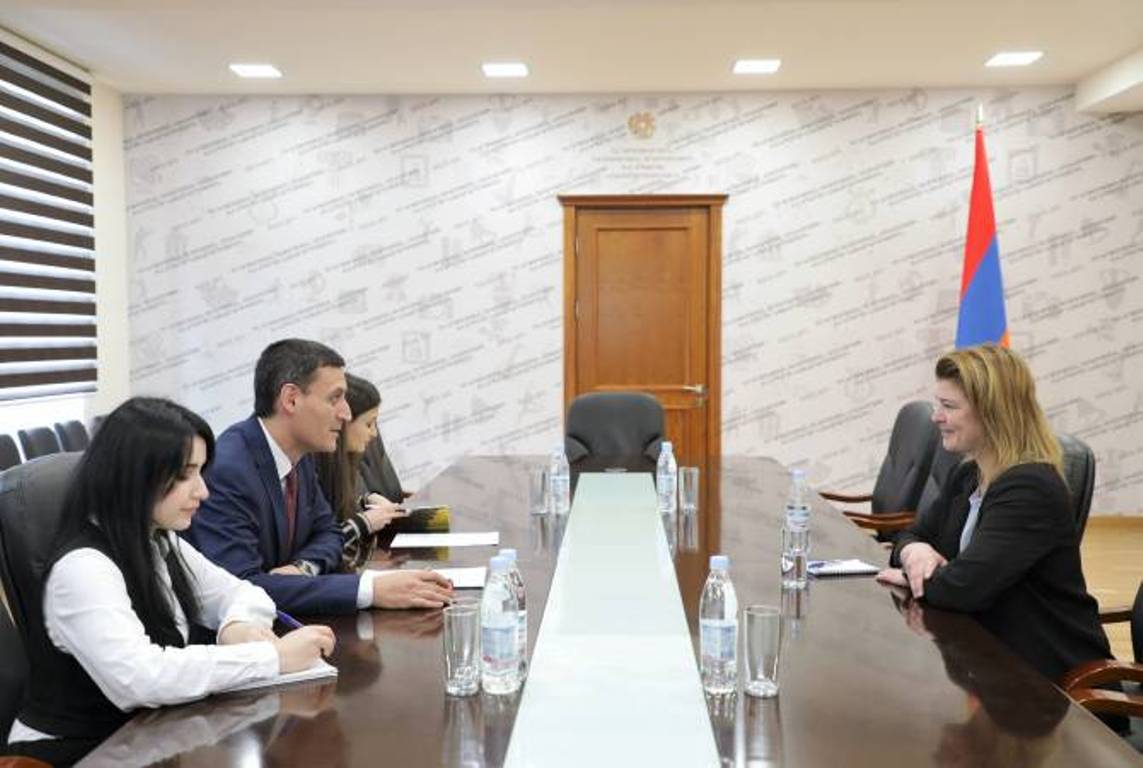 Заместитель министра ОНКС Армении и посол Дании обсудили перспективы сотрудничества