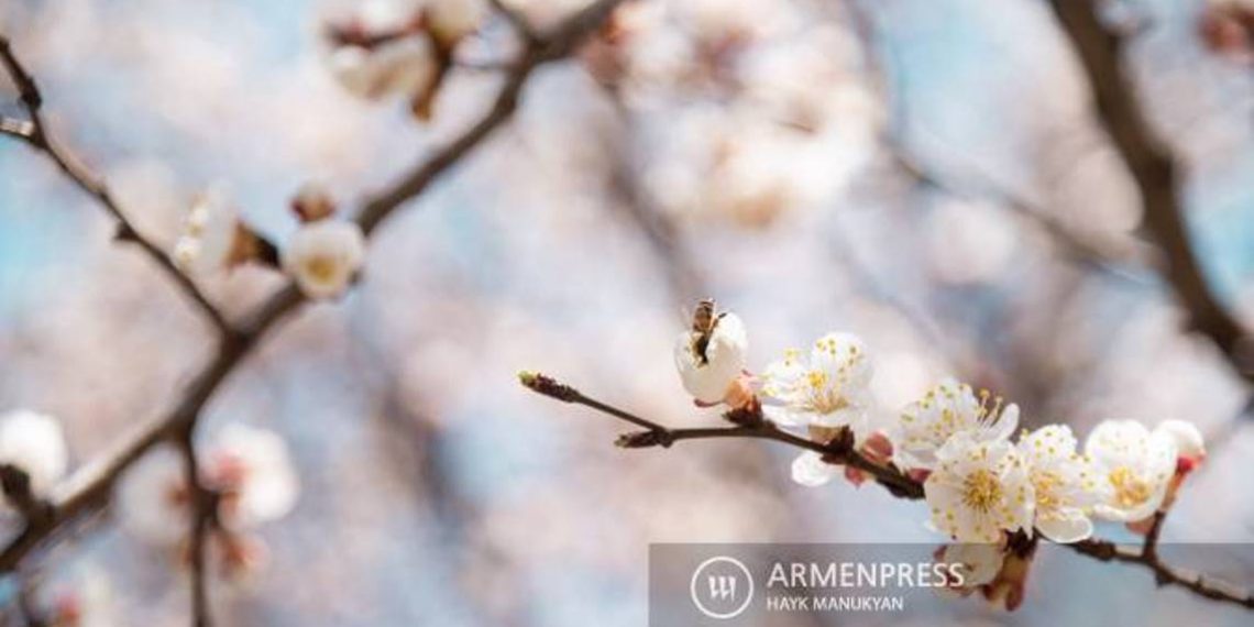 Температура воздуха в Армении понизится в ближайшие дни в связи с проникновением холодных арктических воздушных потоков