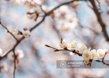 Температура воздуха в Армении понизится в ближайшие дни в связи с проникновением холодных арктических воздушных потоков
