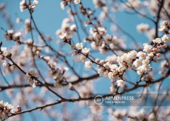 В Армении на рассвете 2 апреля ожидается похолодание до -4 градусов