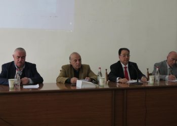 Максимизировать эффекты с учетом национальных приоритетов Армении