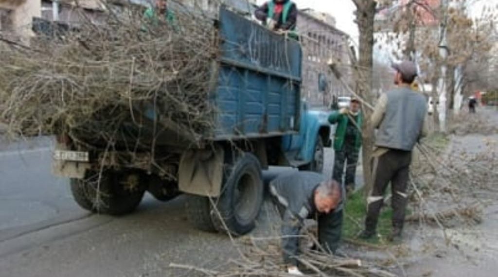 В Ереване началась весенняя обрезка деревьев