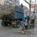 В Ереване началась весенняя обрезка деревьев