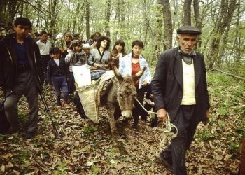 Мери ХАЧАТРЯН: Армении необходим отдельный госорган по защите прав беженцев