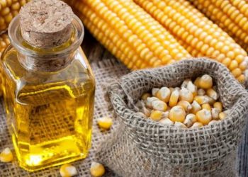 Будут освобождены от уплаты НДС на границе