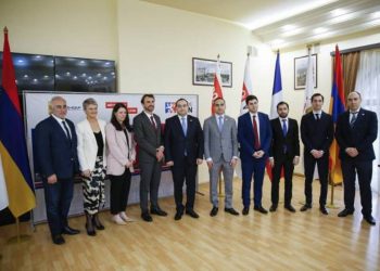 Ереван и Лион планируют подписать трехлетнюю программу сотрудничества