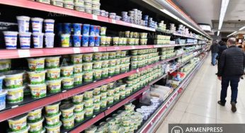 Запрет на вывоз молочной продукции Армении в РФ становится препятствием для торговли ЕАЭС: министр экономики Армении