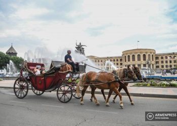 В 2024 году спортивной столицей СНГ станет Гюмри