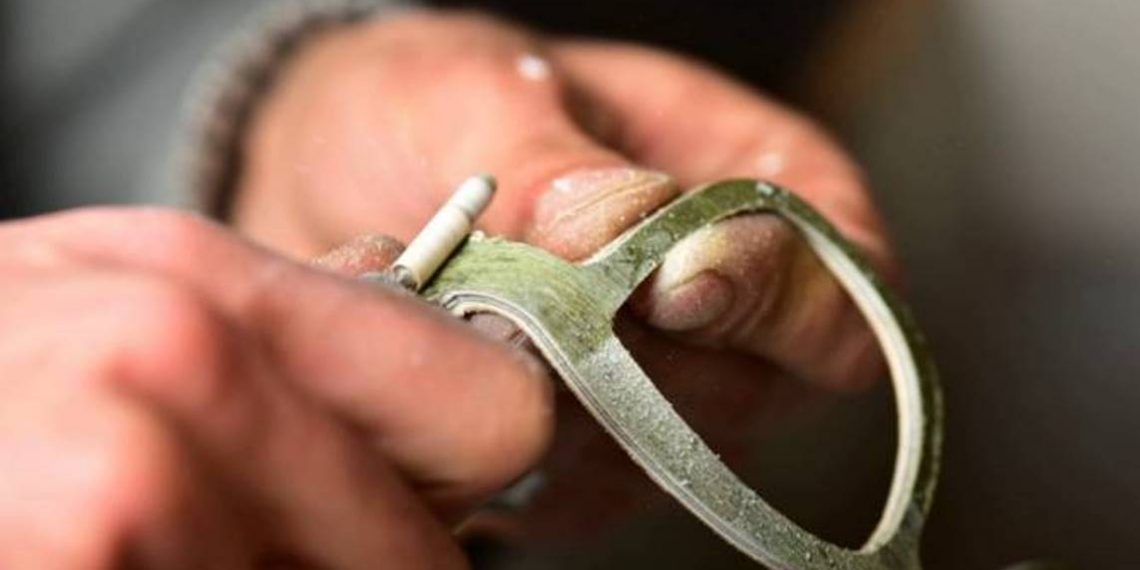 Деревянные очки из Гюмри получили широкое признание за пределами Армении