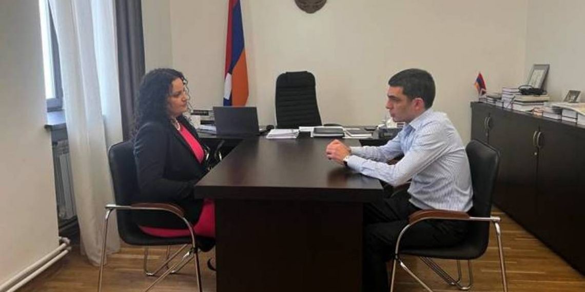 Министр ИД Арцаха и благотворитель Анна Аствацатурян-Теркотт обсудили гуманитарные проблемы, возникшие из-за блокады