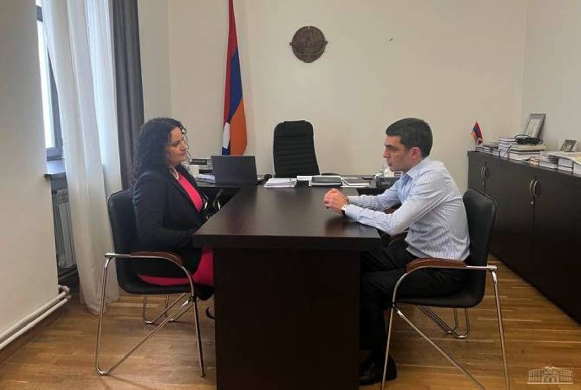 Министр ИД Арцаха и благотворитель Анна Аствацатурян-Теркотт обсудили гуманитарные проблемы, возникшие из-за блокады