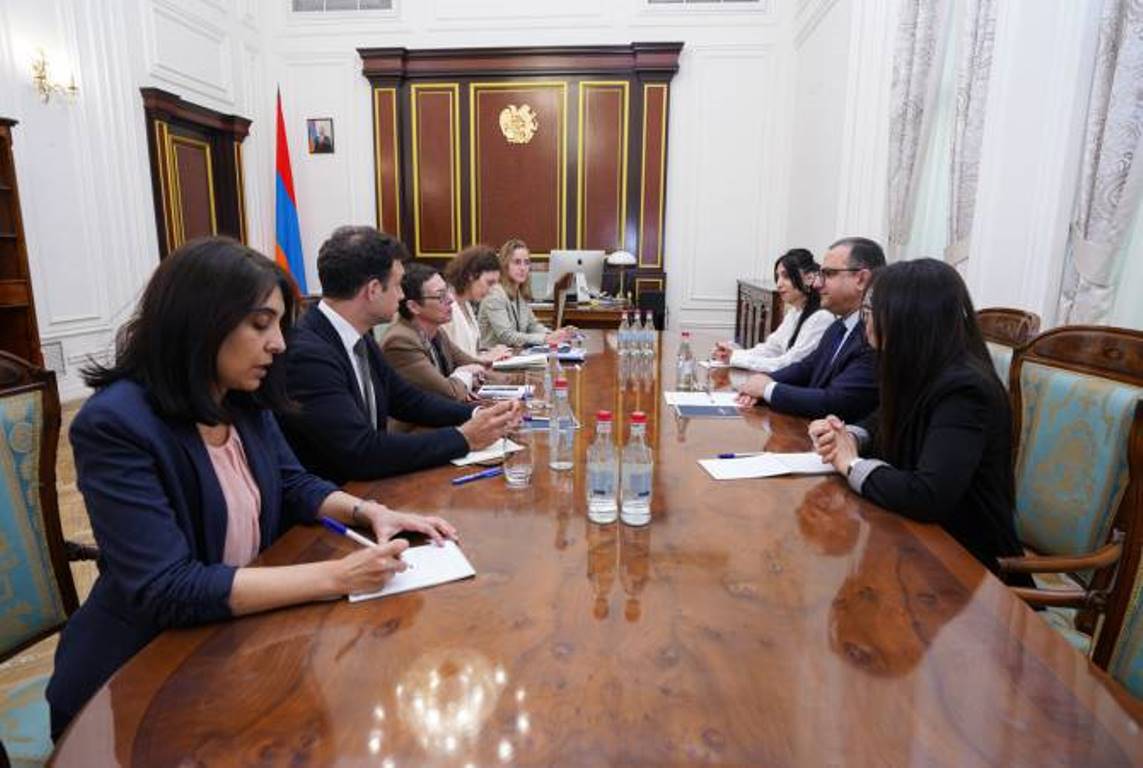Вице-премьер Армении принял представителей Французского агентства развития и посла Франции