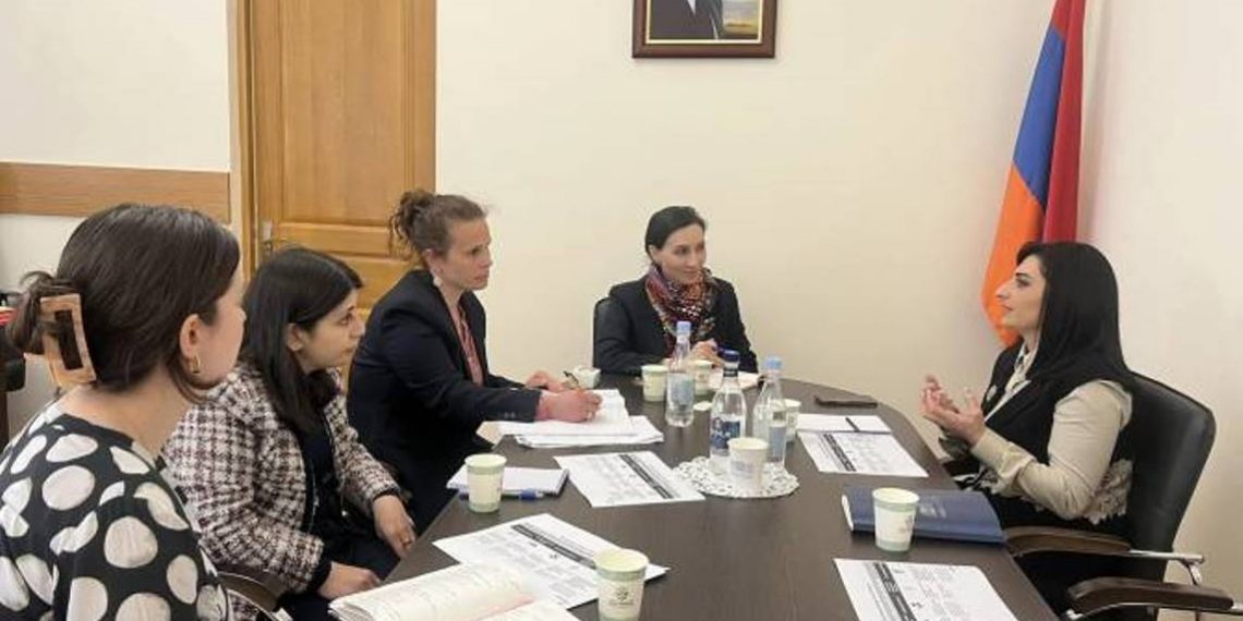 Тагуи Товмасян и Оливия Нихенке обсудили проблемы уязвимых групп, перемещенных вследствие войны