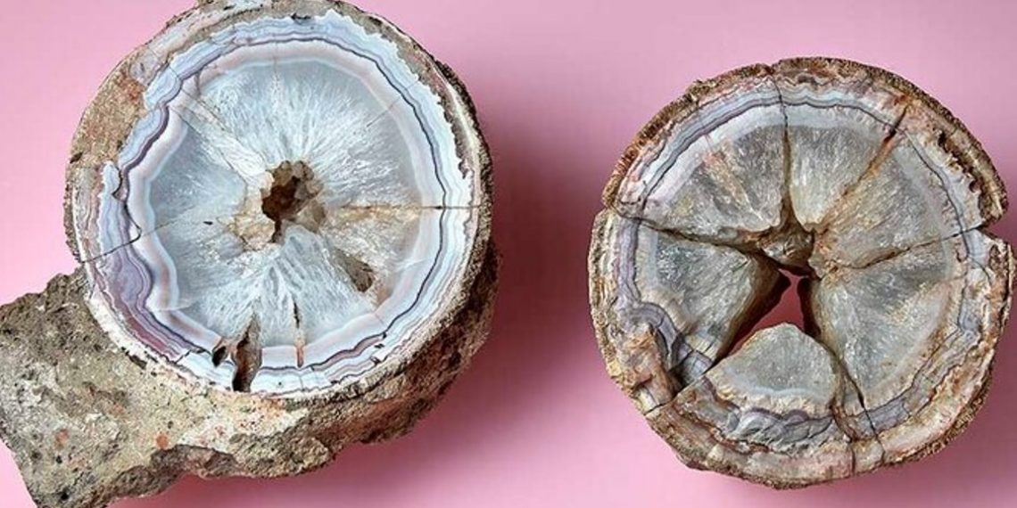 Агат — яйцо динозавра