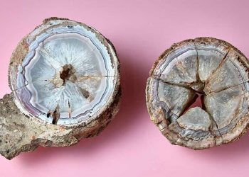 Агат — яйцо динозавра