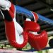 Армянские боксеры в полной готовности стартуют в чемпионате мира