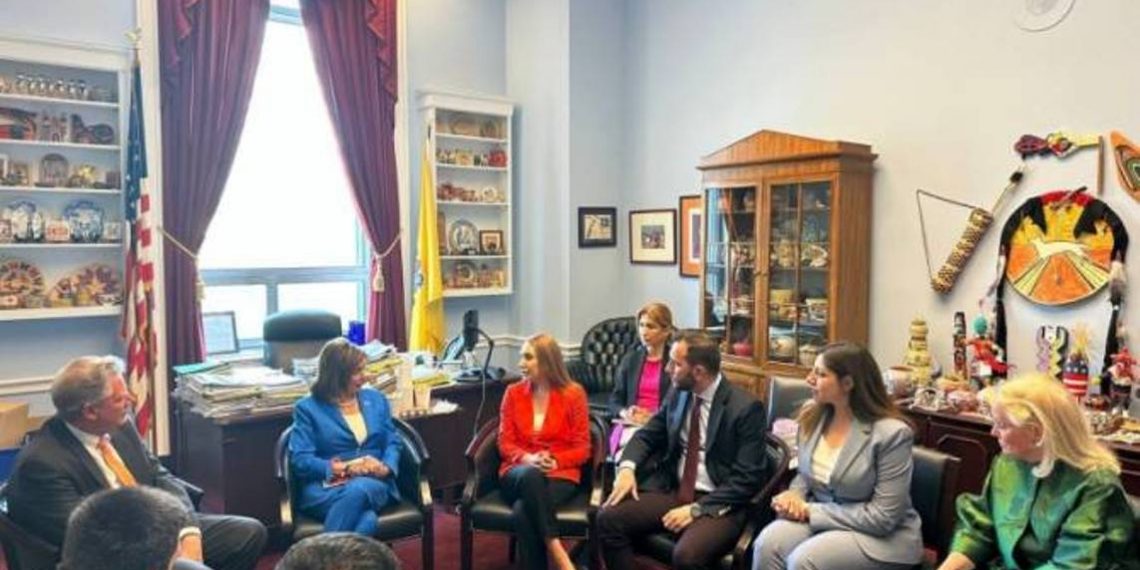 Армянские парламентарии и конгрессмены США обсудили ситуацию безопасности вокруг Армении