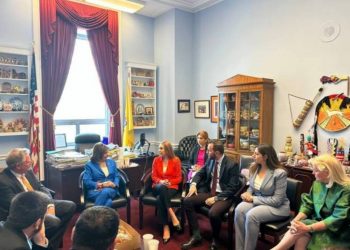 Армянские парламентарии и конгрессмены США обсудили ситуацию безопасности вокруг Армении