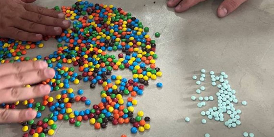 КГД предотвратил беспрецедентный объем контрабанды наркотиков «фентанил» в регионе