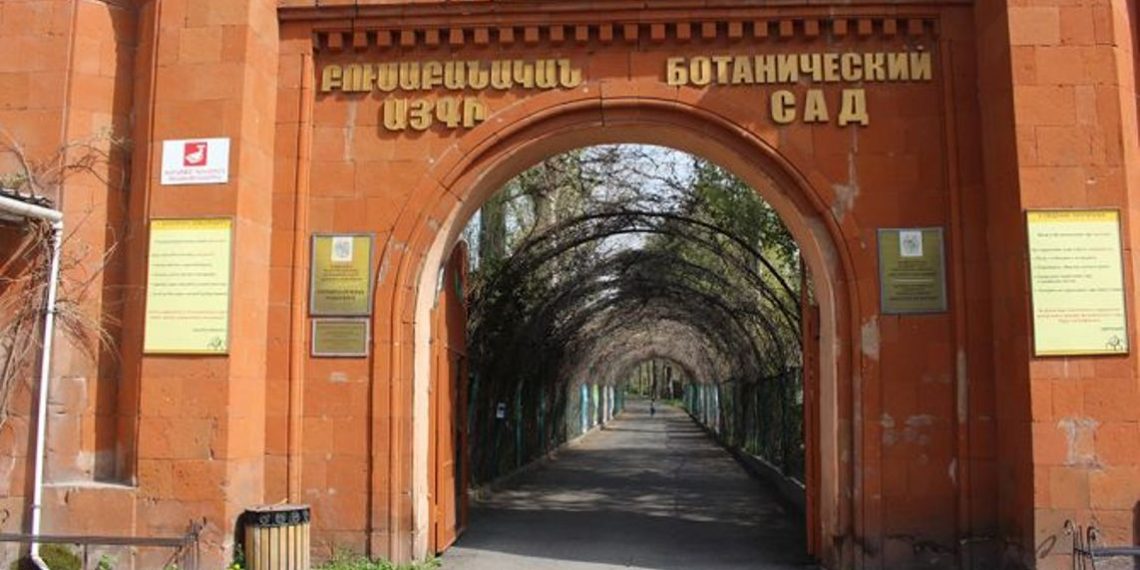 Следы древних животных и растений